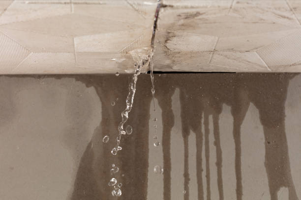 Professional Water Damage Inspection technician working in Bay Saint Louis, MS